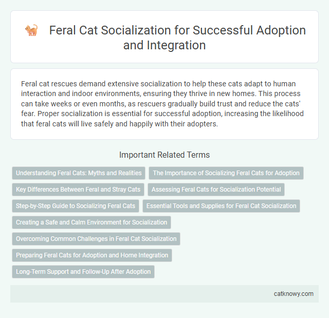 Feral Cat Socialization for Successful Adoption and Integration