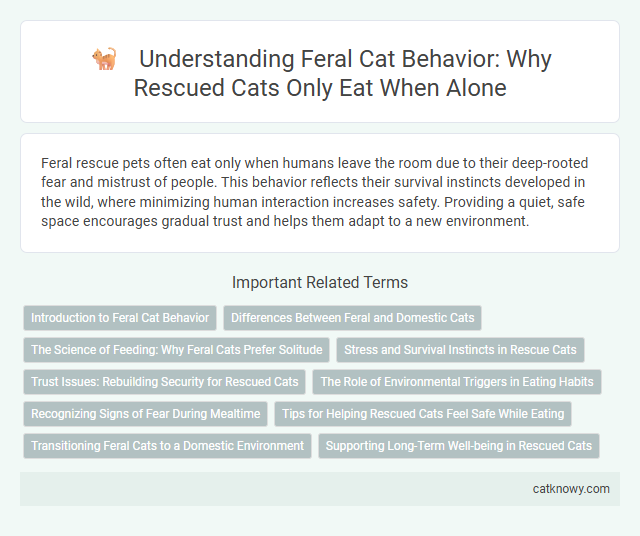 Understanding Feral Cat Behavior: Why Rescued Cats Only Eat When Alone