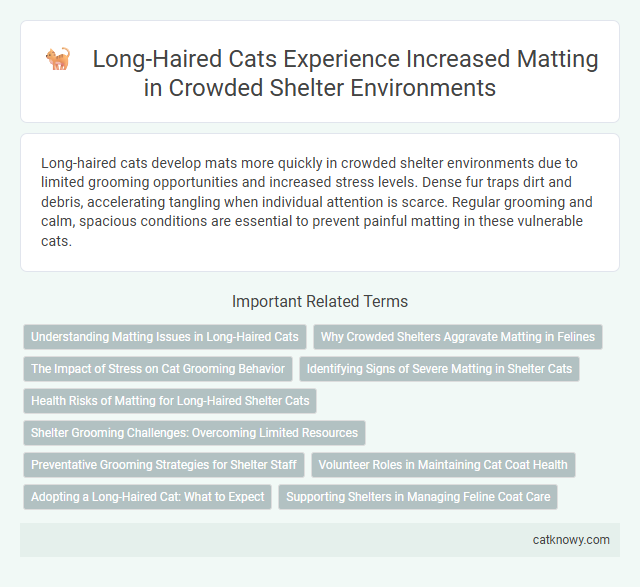 Long-Haired Cats Experience Increased Matting in Crowded Shelter Environments