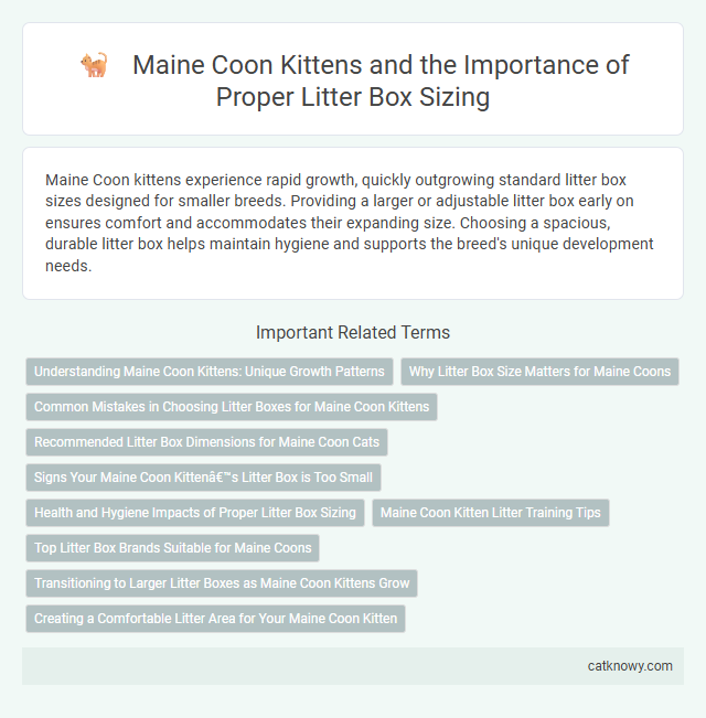 Maine Coon Kittens and the Importance of Proper Litter Box Sizing