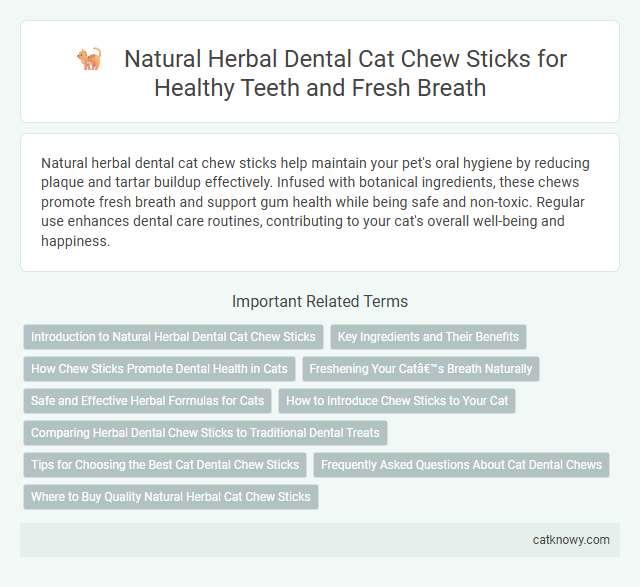 Natural Herbal Dental Cat Chew Sticks for Healthy Teeth and Fresh Breath