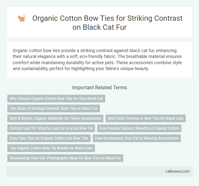 Organic Cotton Bow Ties for Striking Contrast on Black Cat Fur
