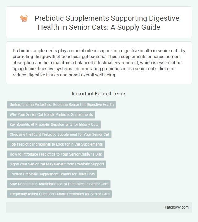 Prebiotic Supplements Supporting Digestive Health in Senior Cats: A Supply Guide