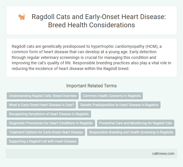 Ragdoll Cats and Early-Onset Heart Disease: Breed Health Considerations