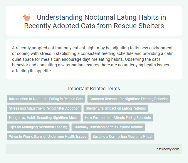 Understanding Nocturnal Eating Habits in Recently Adopted Cats from Rescue Shelters