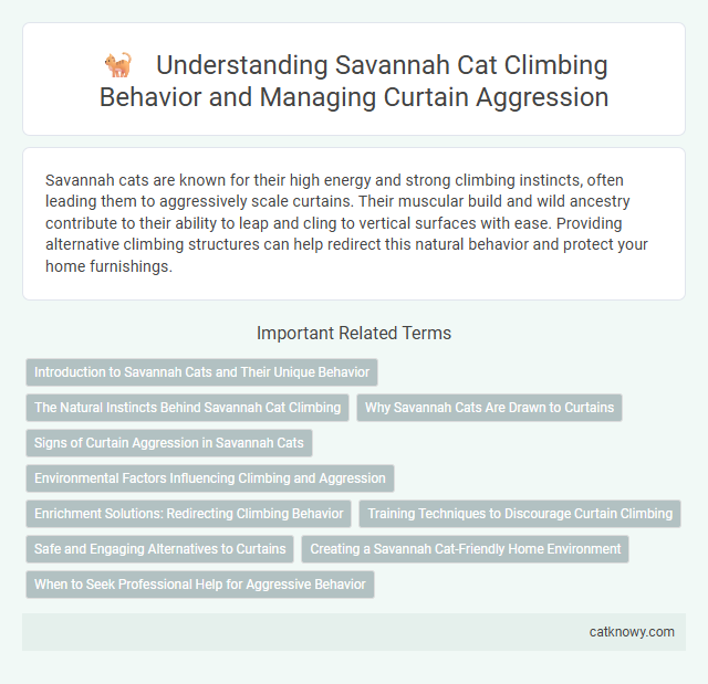 Understanding Savannah Cat Climbing Behavior and Managing Curtain Aggression