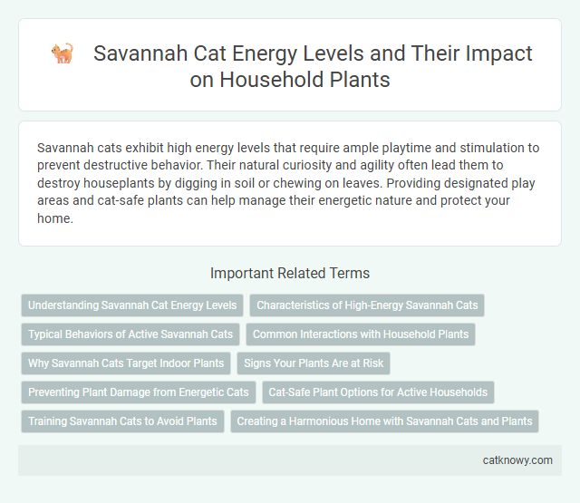 Savannah Cat Energy Levels and Their Impact on Household Plants