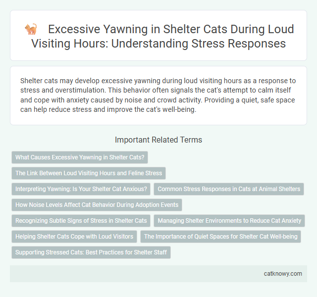 Excessive Yawning in Shelter Cats During Loud Visiting Hours: Understanding Stress Responses