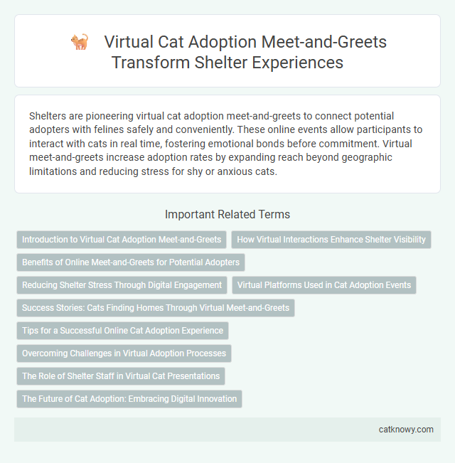 Virtual Cat Adoption Meet-and-Greets Transform Shelter Experiences