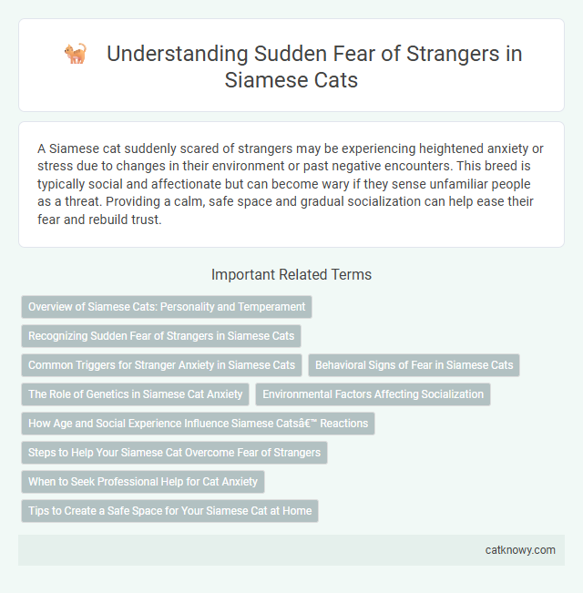 Understanding Sudden Fear of Strangers in Siamese Cats