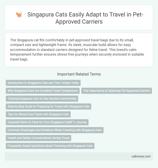 Singapura Cats Easily Adapt to Travel in Pet-Approved Carriers