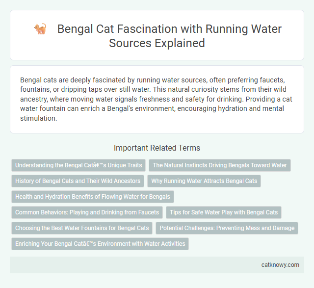 Bengal Cat Fascination with Running Water Sources Explained