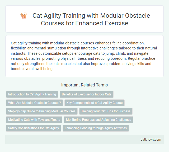 Cat Agility Training with Modular Obstacle Courses for Enhanced Exercise