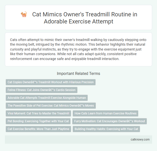 Cat Mimics Owner's Treadmill Routine in Adorable Exercise Attempt