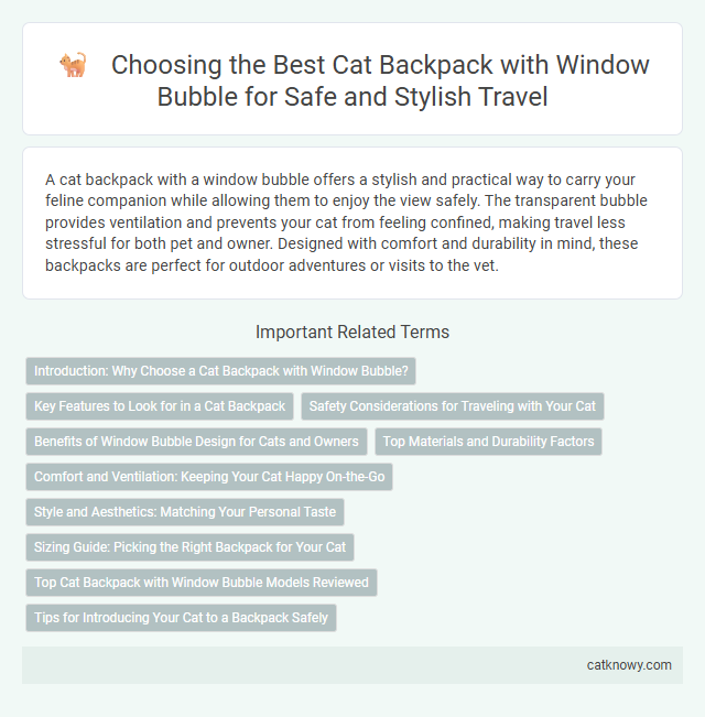 Choosing the Best Cat Backpack with Window Bubble for Safe and Stylish Travel