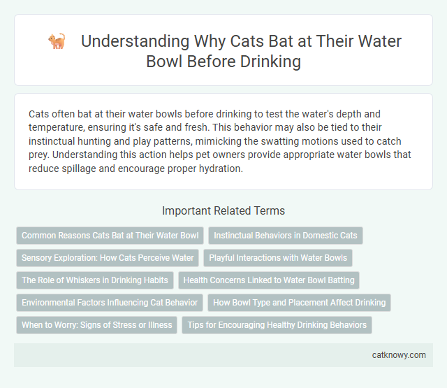 Understanding Why Cats Bat at Their Water Bowl Before Drinking