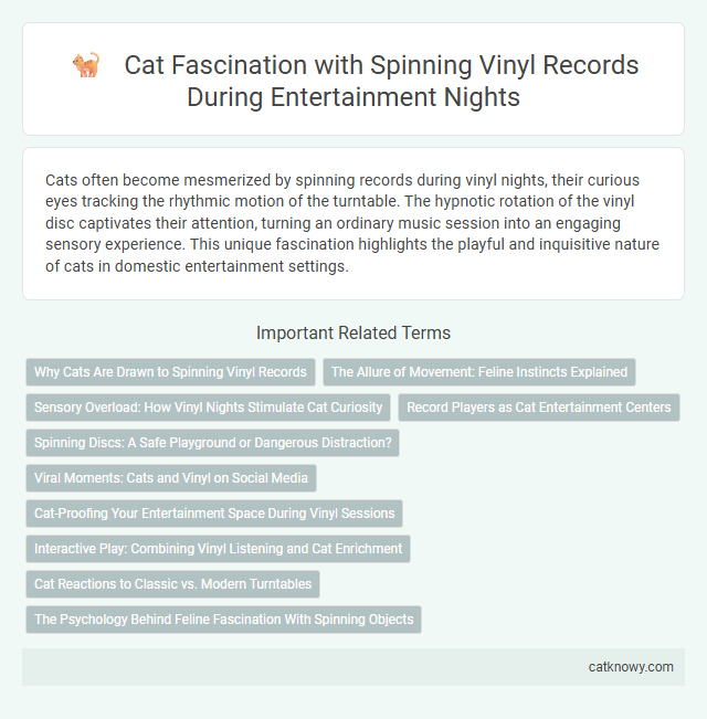 Cat Fascination with Spinning Vinyl Records During Entertainment Nights