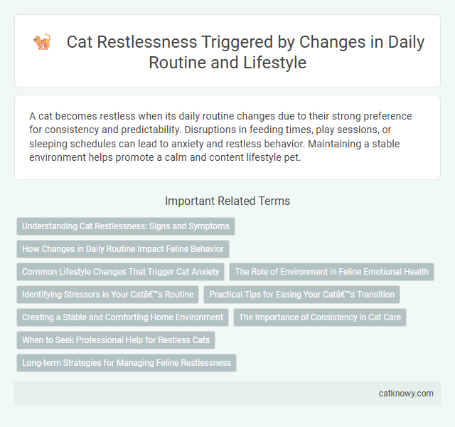 Cat Restlessness Triggered by Changes in Daily Routine and Lifestyle