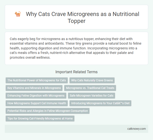 Why Cats Crave Microgreens as a Nutritional Topper