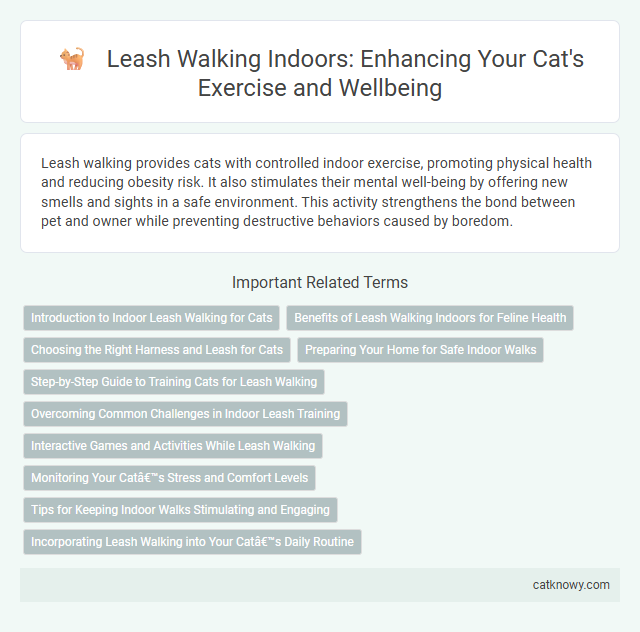 Leash Walking Indoors: Enhancing Your Cat's Exercise and Wellbeing