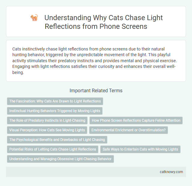 Understanding Why Cats Chase Light Reflections from Phone Screens