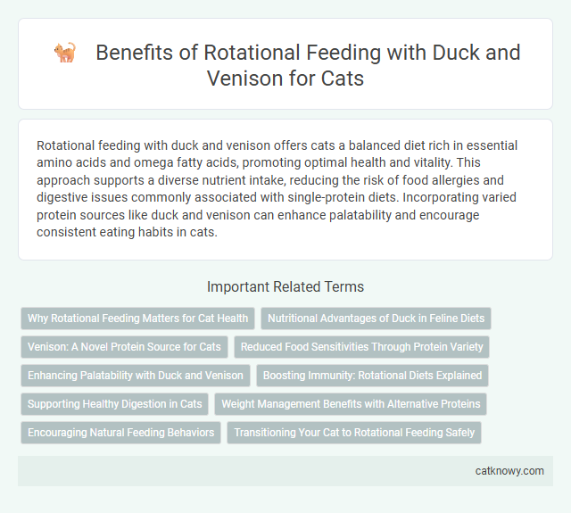 Benefits of Rotational Feeding with Duck and Venison for Cats