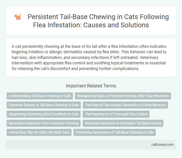 Persistent Tail-Base Chewing in Cats Following Flea Infestation: Causes and Solutions
