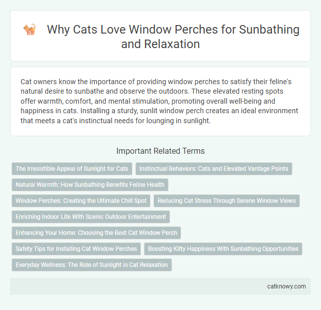 Why Cats Love Window Perches for Sunbathing and Relaxation