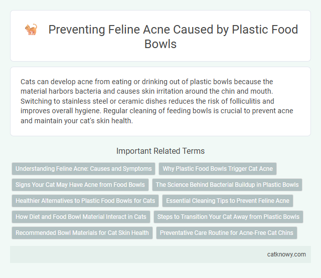 Preventing Feline Acne Caused by Plastic Food Bowls