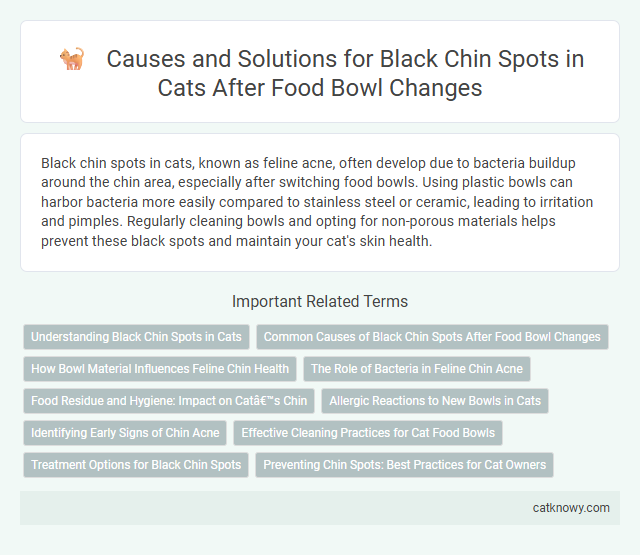 Causes and Solutions for Black Chin Spots in Cats After Food Bowl Changes