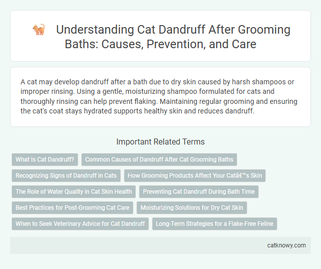 Understanding Cat Dandruff After Grooming Baths: Causes, Prevention, and Care