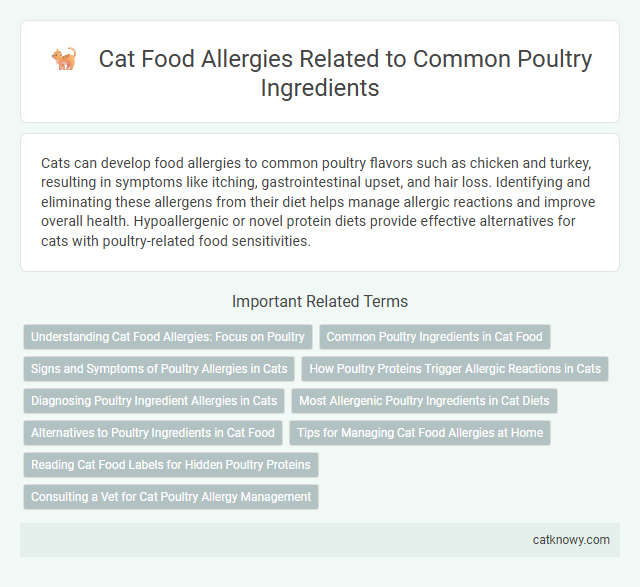 Cat Food Allergies Related to Common Poultry Ingredients