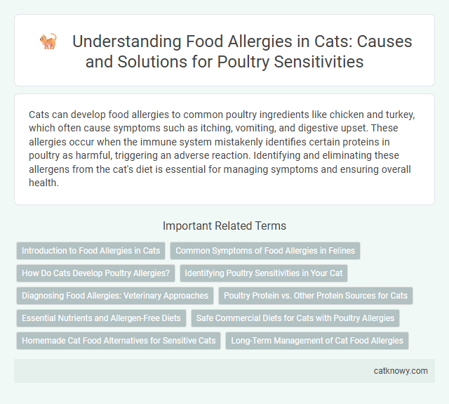 Understanding Food Allergies in Cats: Causes and Solutions for Poultry Sensitivities