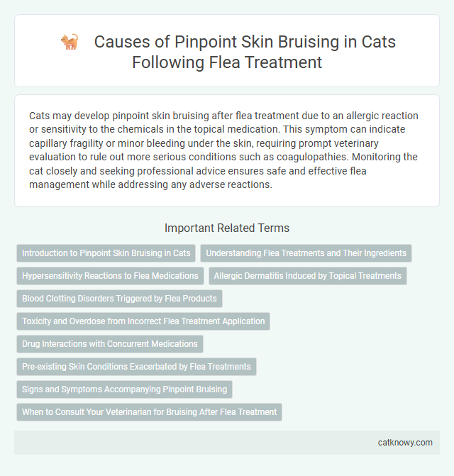 Causes of Pinpoint Skin Bruising in Cats Following Flea Treatment