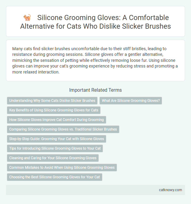 Silicone Grooming Gloves: A Comfortable Alternative for Cats Who Dislike Slicker Brushes