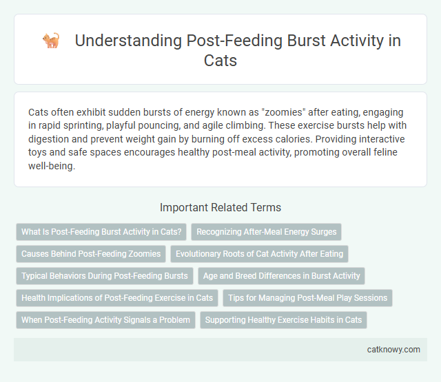 Understanding Post-Feeding Burst Activity in Cats