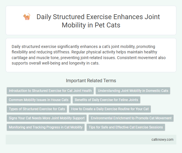 Daily Structured Exercise Enhances Joint Mobility in Pet Cats