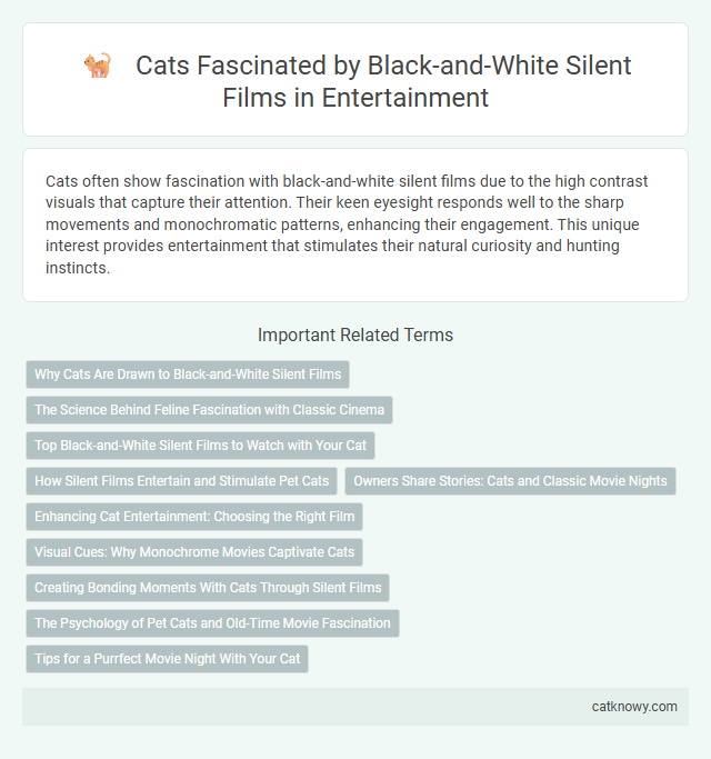 Cats Fascinated by Black-and-White Silent Films in Entertainment
