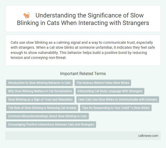Understanding the Significance of Slow Blinking in Cats When Interacting with Strangers