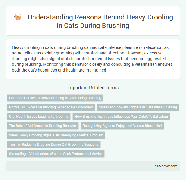 Understanding Reasons Behind Heavy Drooling in Cats During Brushing