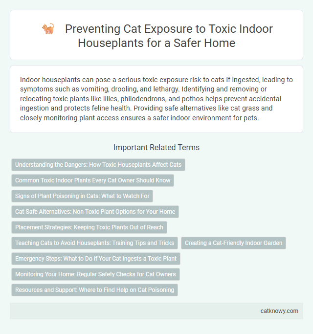 Preventing Cat Exposure to Toxic Indoor Houseplants for a Safer Home