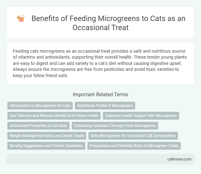 Benefits of Feeding Microgreens to Cats as an Occasional Treat
