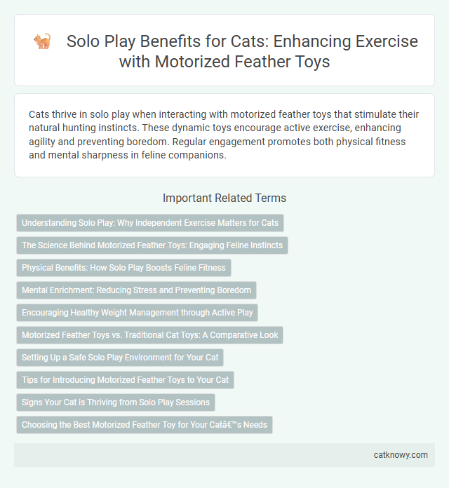 Solo Play Benefits for Cats: Enhancing Exercise with Motorized Feather Toys