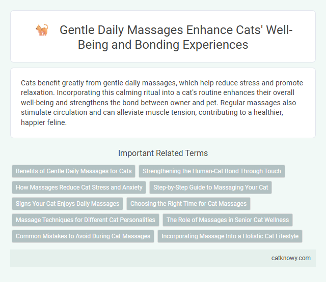 Gentle Daily Massages Enhance Cats' Well-Being and Bonding Experiences