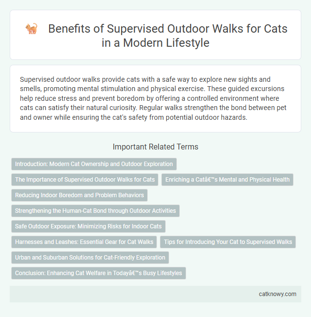 Benefits of Supervised Outdoor Walks for Cats in a Modern Lifestyle