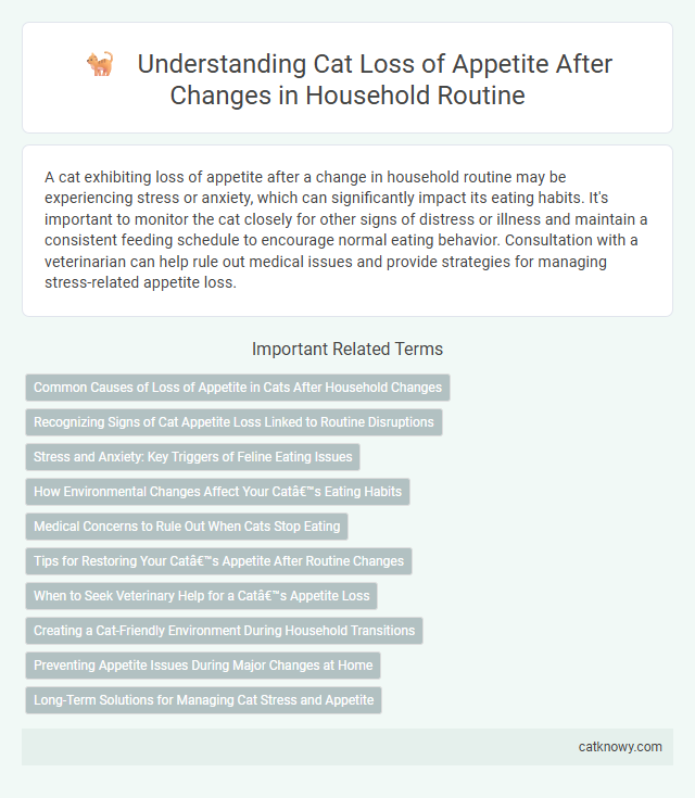 Understanding Cat Loss of Appetite After Changes in Household Routine