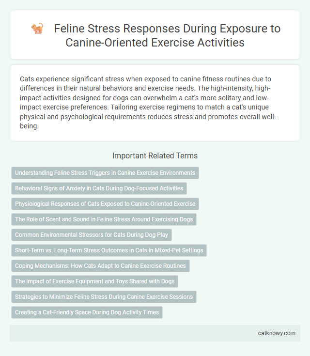 Feline Stress Responses During Exposure to Canine-Oriented Exercise Activities