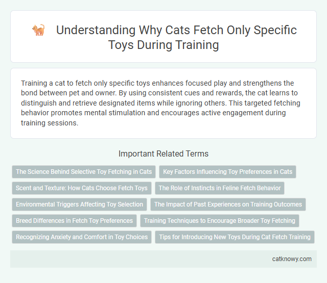 Understanding Why Cats Fetch Only Specific Toys During Training
