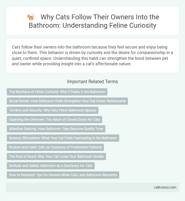 Why Cats Follow Their Owners Into the Bathroom: Understanding Feline Curiosity