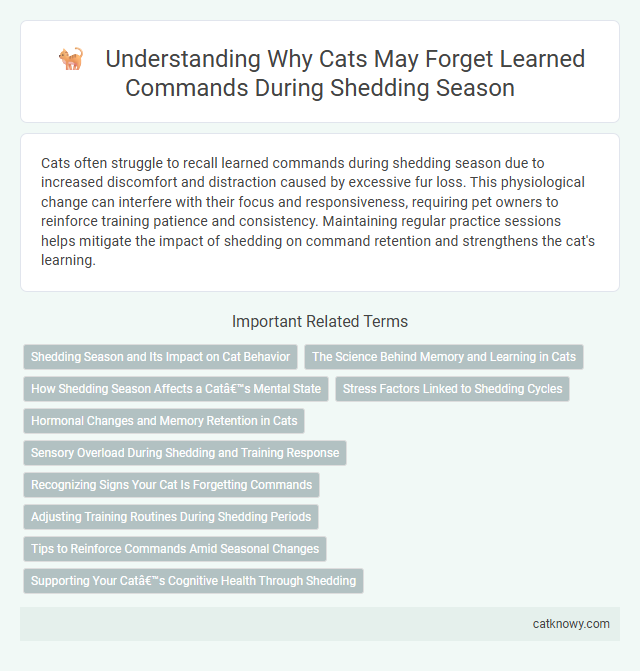 Understanding Why Cats May Forget Learned Commands During Shedding Season